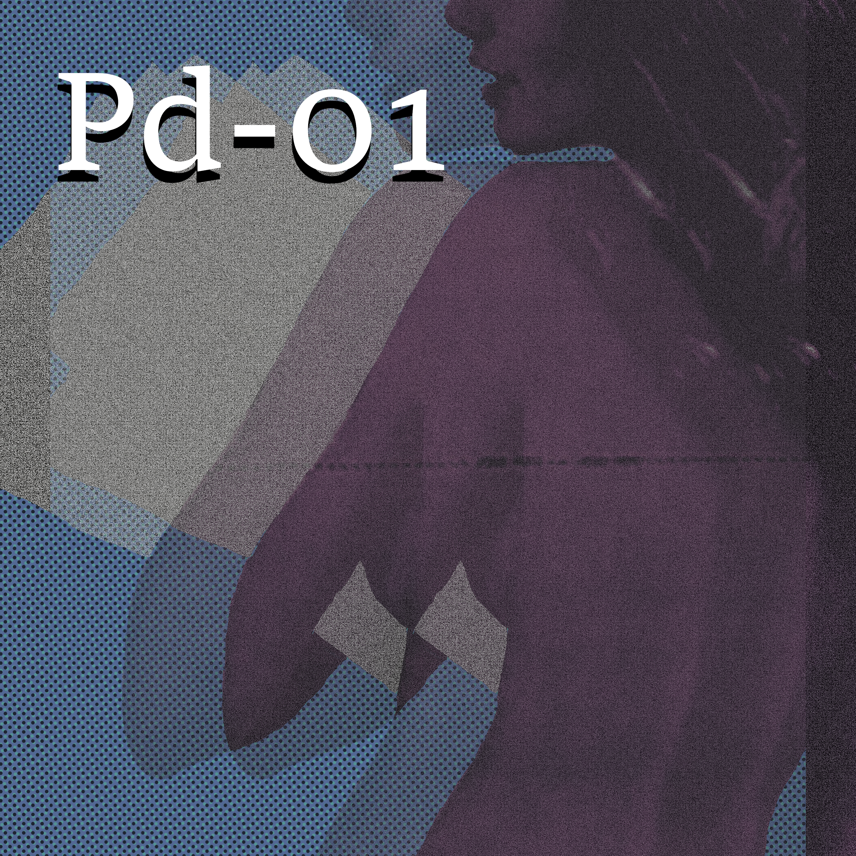 Pd-01 2.png